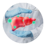 Imagem de um ícone representando a sessão Hepatites virais